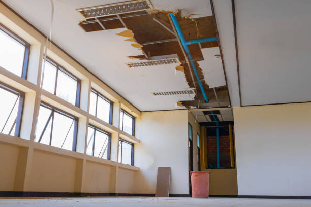 Best Water damage cleanup near me  in Trevose, PA