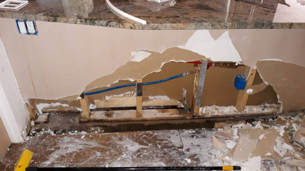 Best Basement water damage restoration  in Trevose, PA