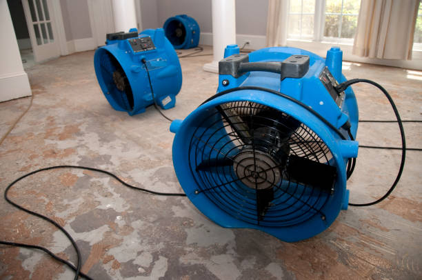 Best Water damage restoration services  in Trevose, PA
