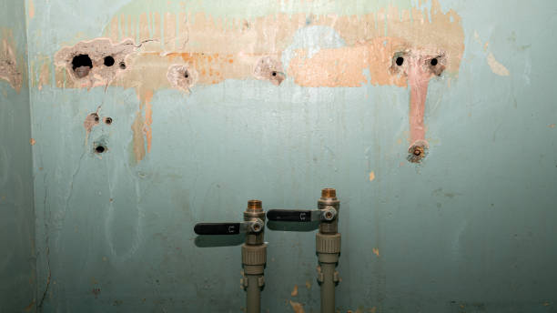 Best Water damage restoration near me  in Trevose, PA