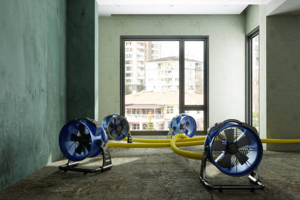 Best Water damage restoration near me  in Trevose, PA